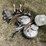 milk-buckets,-calf-carries,-yard-light-6425-image-2