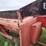 case-ih-1063-image-3