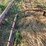 double-bale-feeder-#1-7473-image-4