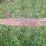 #9957-•-(2)-66"-two-man-saws-image-2