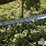 new-holland-56-image-19