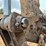 2012-caterpillar-329el-image-21