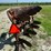 international-642-image-6