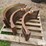 case-ih-2388-image-4