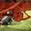 1951-allis-chalmers-wd-image-30