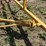 brandt-nl1850h-image-5