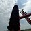 case-ih-3950-image-65