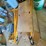 #160-•-scaffolding-image-2