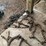 #1241-•-(2)-sets-of-tire-chains-image-2