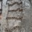 #1241-•-(2)-sets-of-tire-chains-image-5