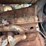 fordson-f-image-10
