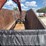 2014-freightliner-m2-106-image-23