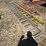 #180-•-x3-extendable-ladder-image-4