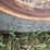 case-ih-rmx340-image-5