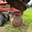 case-ih-3950-image-24