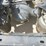 2015-kenworth-t800-image-21