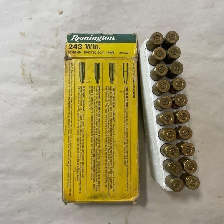 20 Rounds Remington 243 Win Ammo