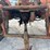 allis-chalmers-ca-image-21