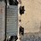 2008-takeuchi-tl250-image-21