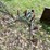 #6114-•-cultivator-attachment-image-1