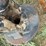#5388-•-westfield-mk-13c-71-71'-grain-auger-194480-inv#5388-image-18