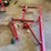 #167-•-drywall-hoist-image-5