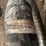 #1232-•-set-of-(4)-new-lucas-black-model-a-tires-image-7