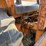 #52619-•-case-construction-king-rough-terrain-forklift-inv#52619-image-31