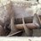 torgerson-rock-jaw-image-18