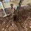#1243-•-tow-bar-image-3