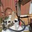 #137-•-heater-lamp-propane-image-3