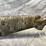 #10659-•-stevens-model-301,-410-ga.-single-shot-shotgun,-sn:-256561b-image-4