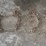 #1241-•-(2)-sets-of-tire-chains-image-6