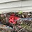 #6155-•-(3)-pole-saws-image-8