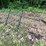 #6115-•-yard-drag-attachment-image-2