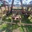 case-ih-20-image-4