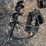 #3815-•-mini-excavator-auger-image-2