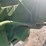 john-deere-4630-image-21