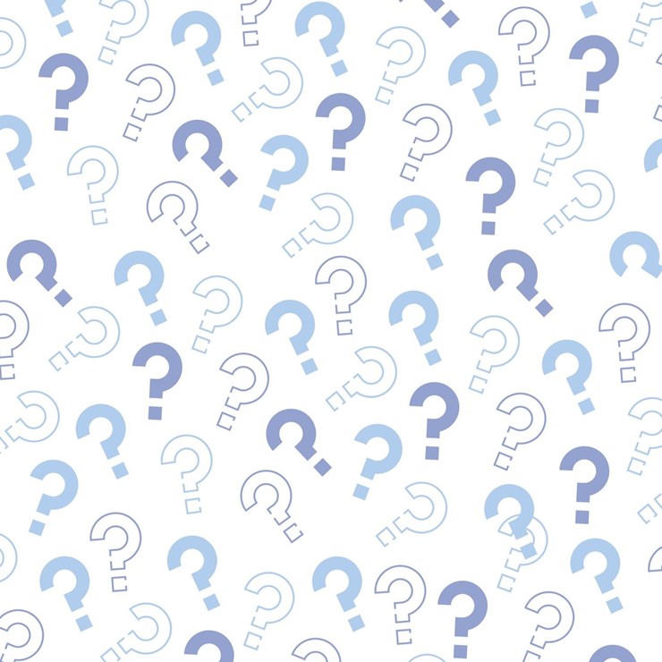 #6 • Common Questions