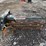 bobcat-lt113-56”-mini-skid-steer-trencher-image-2