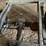 #1220-•-20's-era-chevy-pickup-(no-title)-image-9