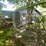 #6181-•-dog-kennel-image-7