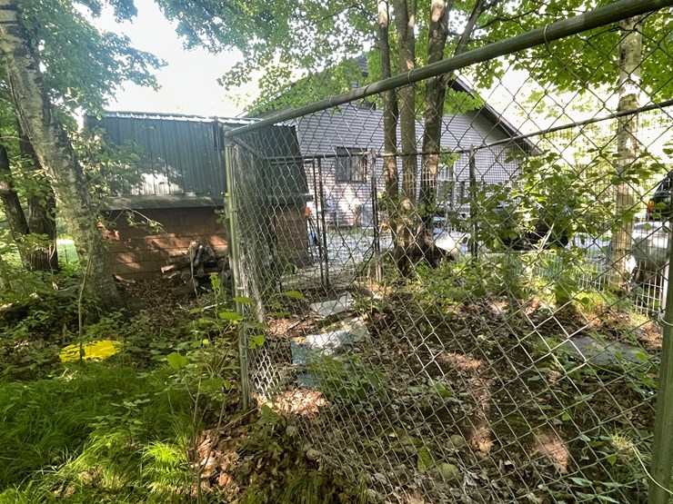 #6181-•-dog-kennel-image-7