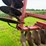 case-ih-3950-image-64
