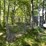 #6181-•-dog-kennel-image-2