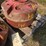 #146-•-x4-tractor-weights-image-2