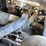 2018-yanmar-s220r-image-48
