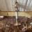 #1243-•-tow-bar-image-2