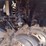 21-kawasaki-kaf820fmfnn-side-by-side^title^-(qea-4794)-image-17