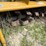 #41-•-county-line-rototiller-image-2